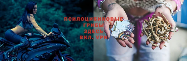 ALPHA PVP Гусиноозёрск