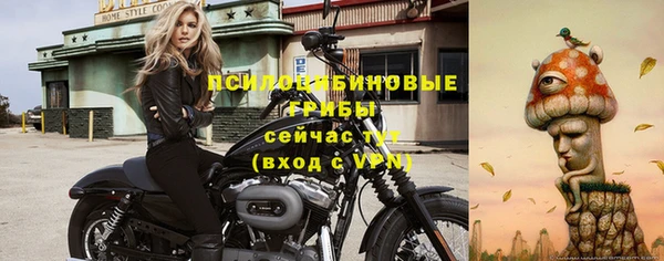 альфа пвп Гусь-Хрустальный