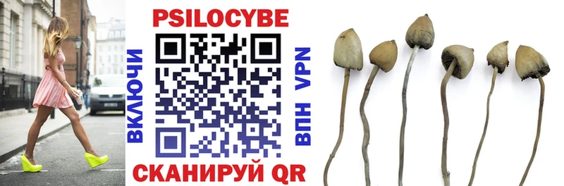 Псилоцибиновые грибы MAGIC MUSHROOMS  hydra   Хасавюрт  как найти закладки 